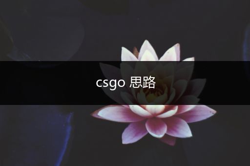 csgo 思路