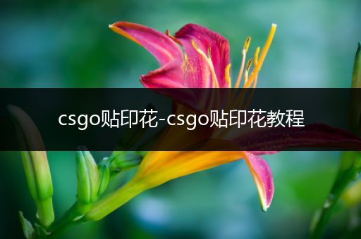 csgo贴印花-csgo贴印花教程