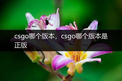 csgo哪个版本，csgo哪个版本是正版