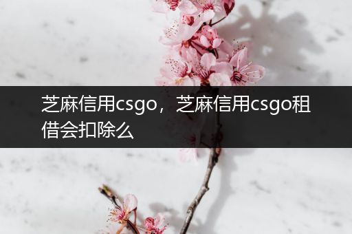 芝麻信用csgo，芝麻信用csgo租借会扣除么