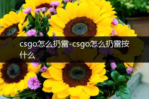 csgo怎么扔雷-csgo怎么扔雷按什么