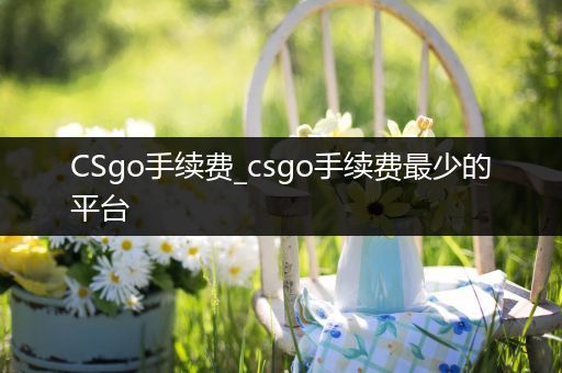 CSgo手续费_csgo手续费最少的平台