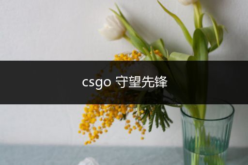 csgo 守望先锋