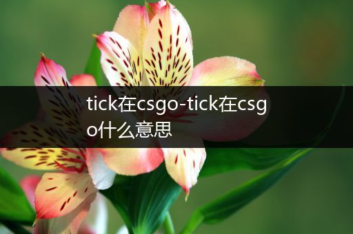 tick在csgo-tick在csgo什么意思