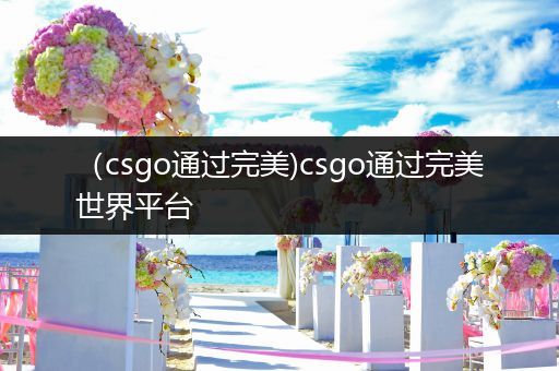 （csgo通过完美)csgo通过完美世界平台