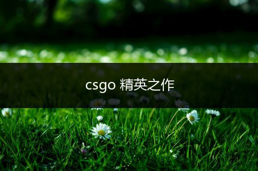 csgo 精英之作