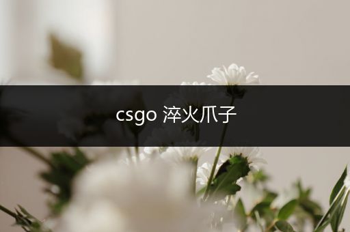 csgo 淬火爪子