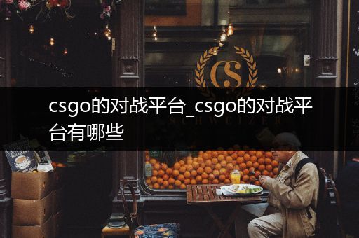 csgo的对战平台_csgo的对战平台有哪些