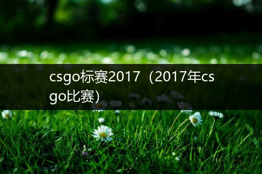 csgo标赛2017（2017年csgo比赛）