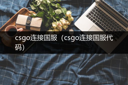 csgo连接国服（csgo连接国服代码）