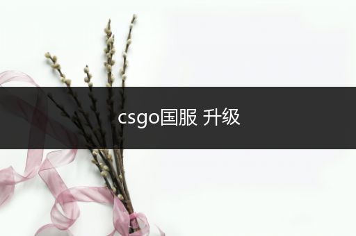 csgo国服 升级