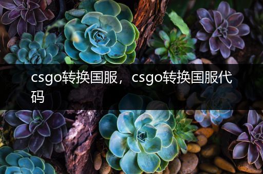 csgo转换国服，csgo转换国服代码