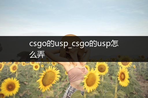 csgo的usp_csgo的usp怎么弄