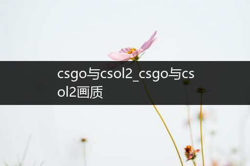 csgo与csol2_csgo与csol2画质