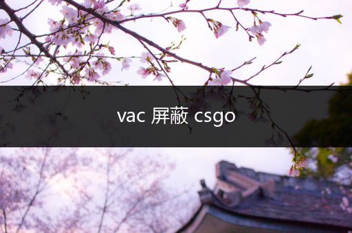 vac 屏蔽 csgo