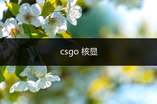 csgo 核显