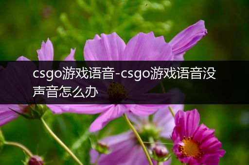 csgo游戏语音-csgo游戏语音没声音怎么办