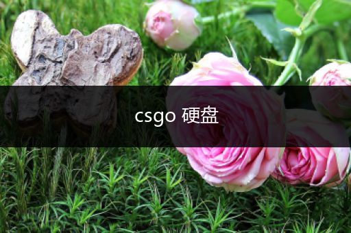 csgo 硬盘