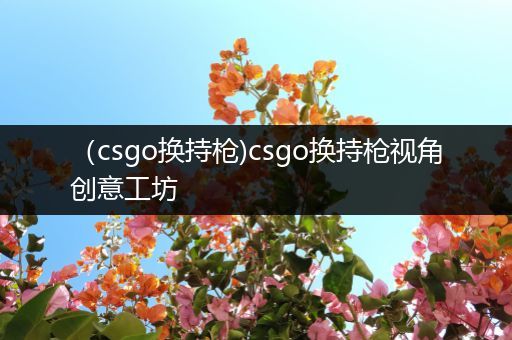 （csgo换持枪)csgo换持枪视角创意工坊