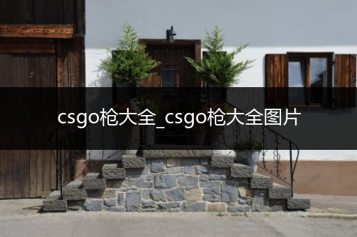 csgo枪大全_csgo枪大全图片