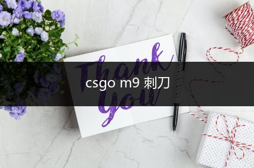 csgo m9 刺刀