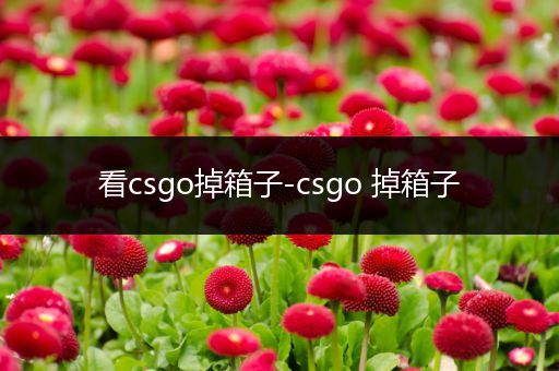 看csgo掉箱子-csgo 掉箱子