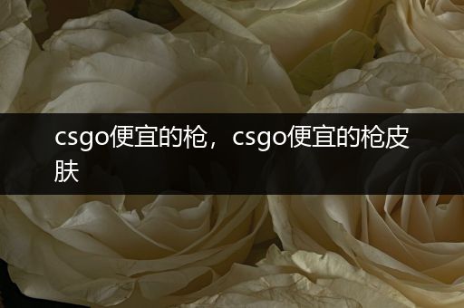 csgo便宜的枪，csgo便宜的枪皮肤