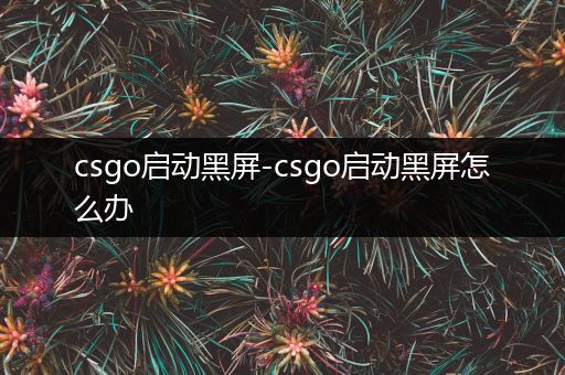 csgo启动黑屏-csgo启动黑屏怎么办