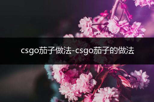 csgo茄子做法-csgo茄子的做法