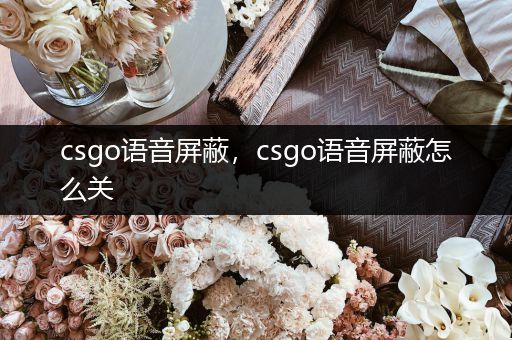 csgo语音屏蔽，csgo语音屏蔽怎么关