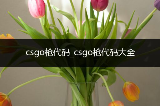 csgo枪代码_csgo枪代码大全