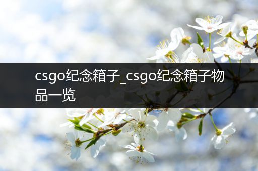 csgo纪念箱子_csgo纪念箱子物品一览