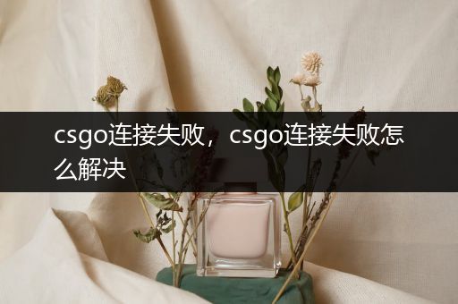 csgo连接失败，csgo连接失败怎么解决