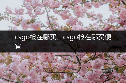 csgo枪在哪买，csgo枪在哪买便宜