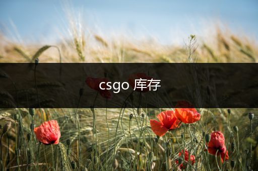 csgo 库存