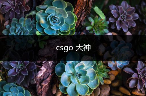 csgo 大神