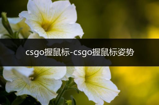 csgo握鼠标-csgo握鼠标姿势