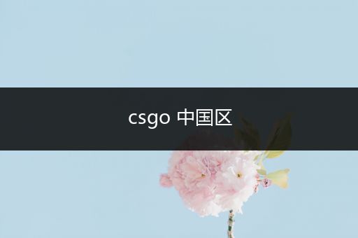 csgo 中国区