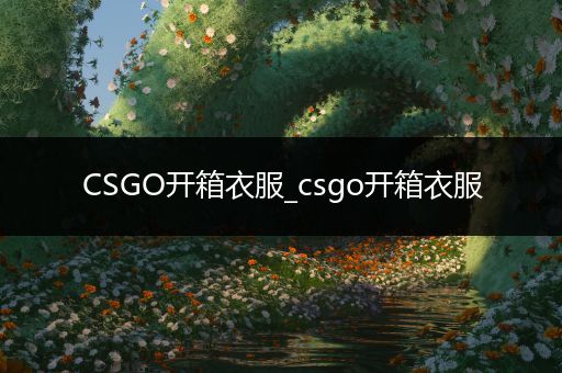 CSGO开箱衣服_csgo开箱衣服