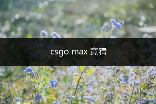 csgo max 竞猜