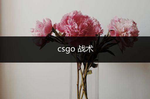 csgo 战术