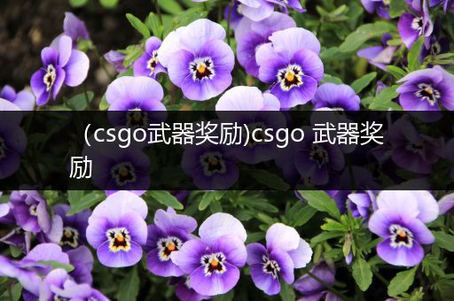 （csgo武器奖励)csgo 武器奖励