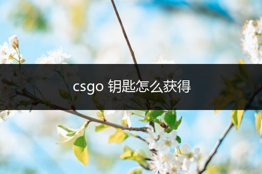 csgo 钥匙怎么获得