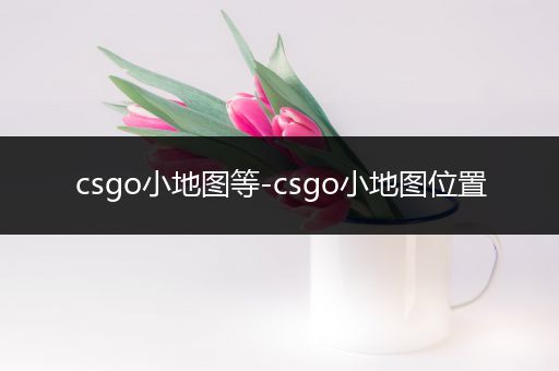 csgo小地图等-csgo小地图位置