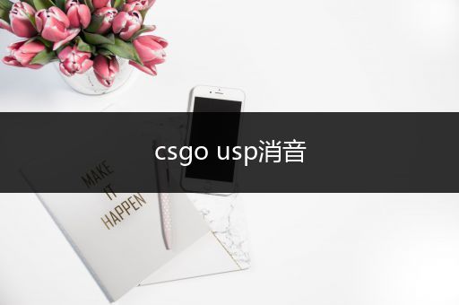 csgo usp消音