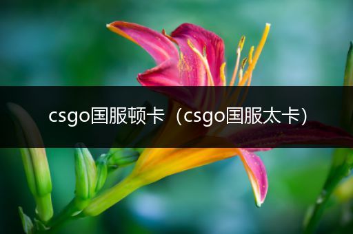 csgo国服顿卡（csgo国服太卡）