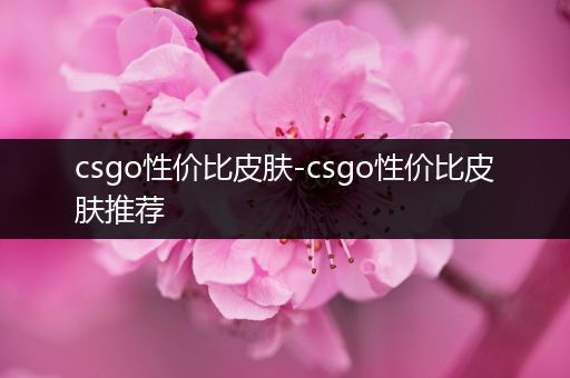 csgo性价比皮肤-csgo性价比皮肤推荐