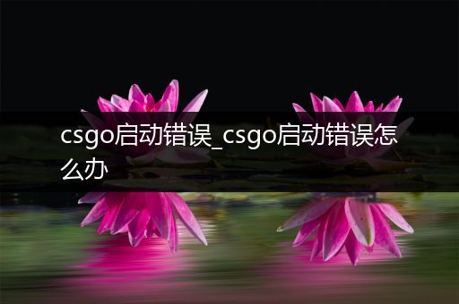 csgo启动错误_csgo启动错误怎么办