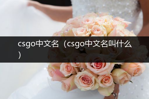 csgo中文名（csgo中文名叫什么）