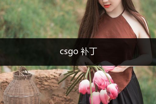 csgo 补丁